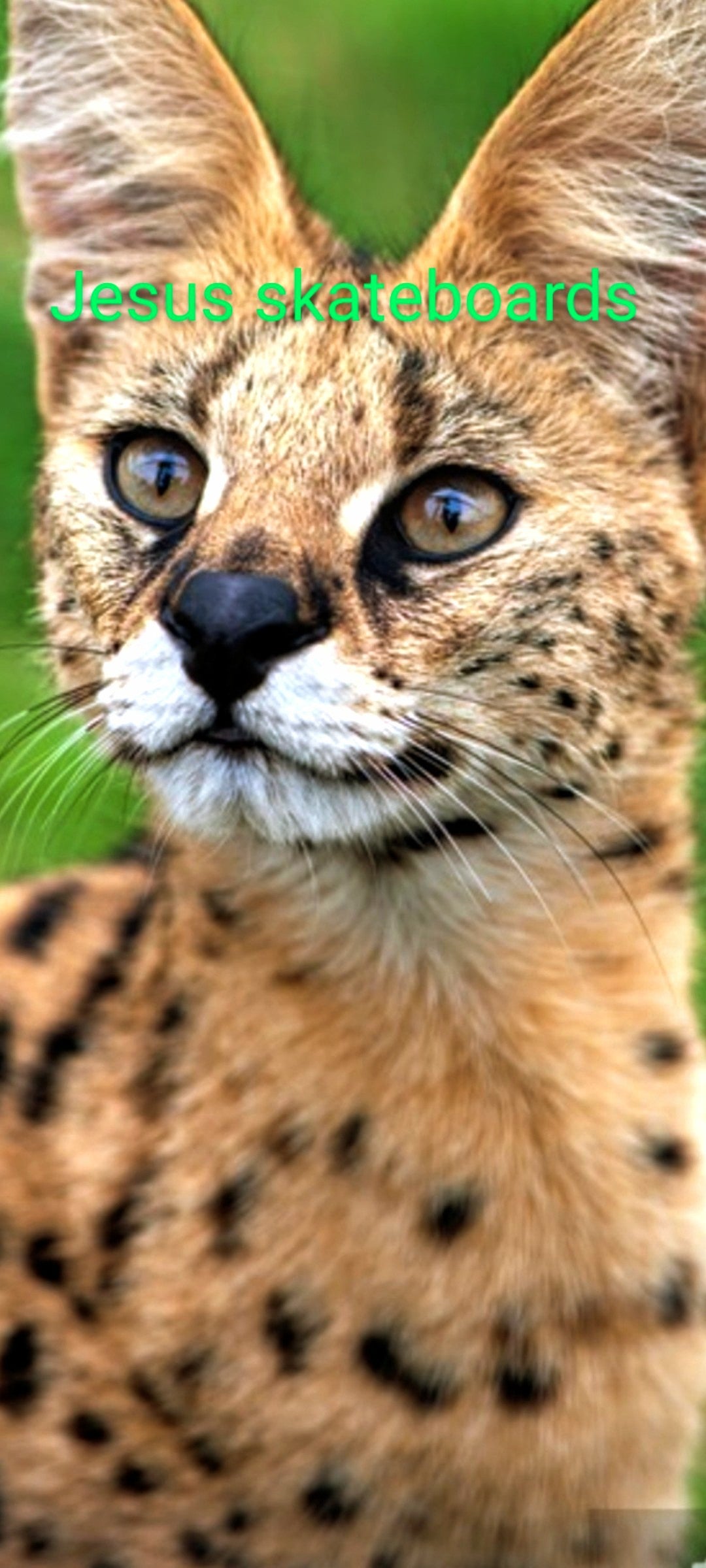 Jesus Skateboards Deck General Lightening-Paws